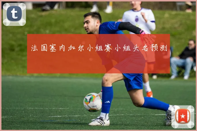 法国塞内加尔小组赛小组头名预测