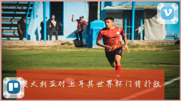 澳大利亚对土耳其世界杯门将扑救
