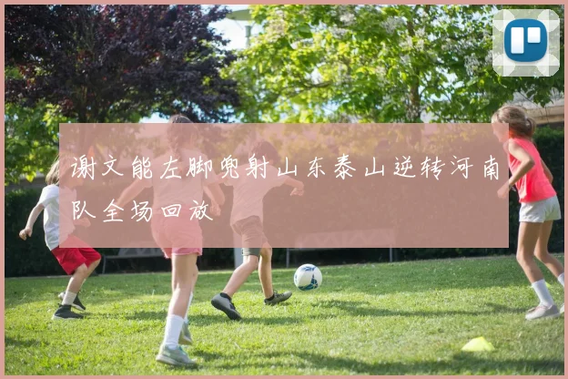 谢文能左脚兜射山东泰山逆转河南队全场回放