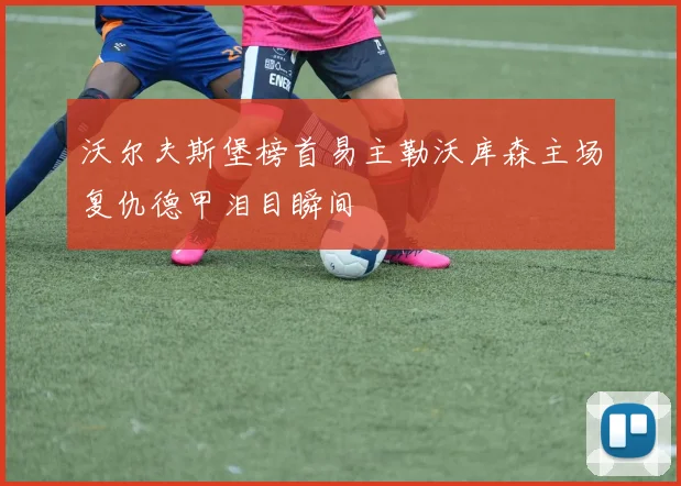 沃尔夫斯堡榜首易主勒沃库森主场复仇德甲泪目瞬间