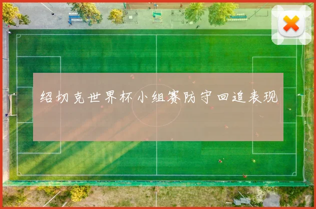 绍切克世界杯小组赛防守回追表现