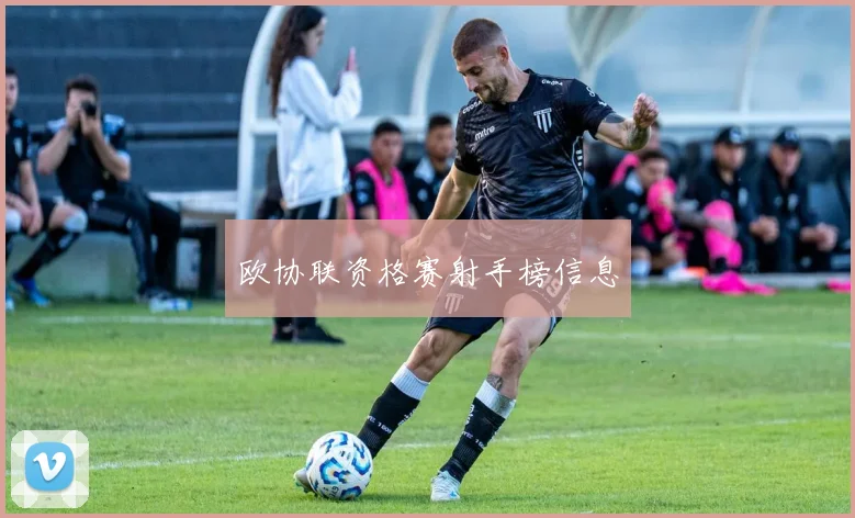 欧协联资格赛射手榜信息