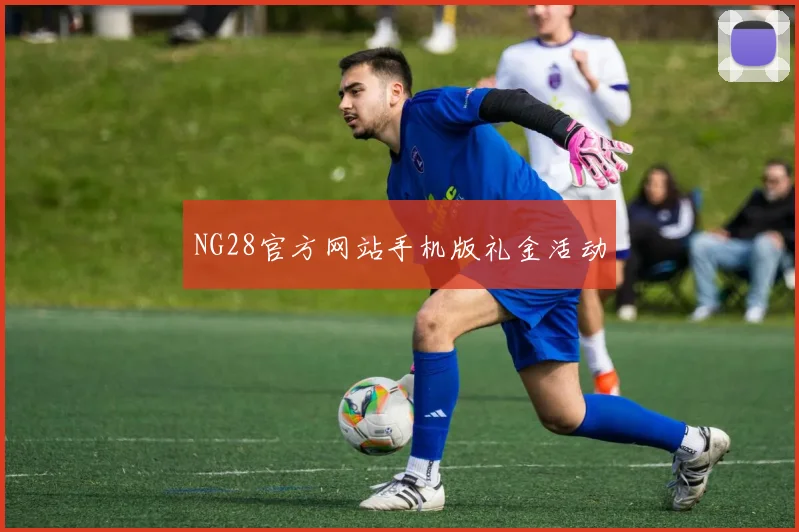 NG28官方网站手机版礼金活动