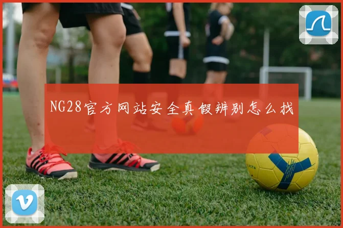 NG28官方网站安全真假辨别怎么找
