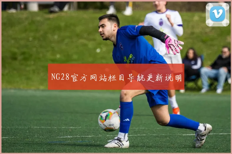 NG28官方网站栏目导航更新说明