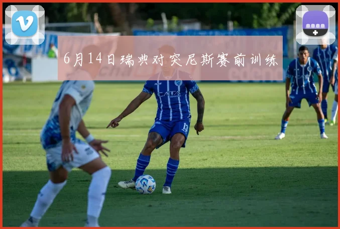 6月14日瑞典对突尼斯赛前训练