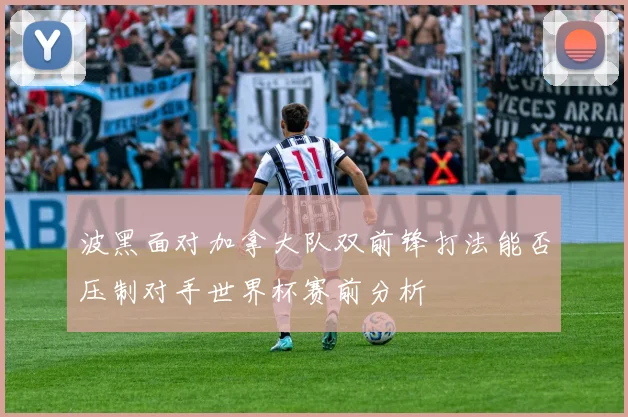 波黑面对加拿大队双前锋打法能否压制对手世界杯赛前分析